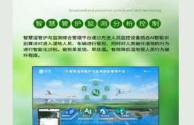 广州青禾智造生物多样性生态监测平台：智慧湿地管理的先锋